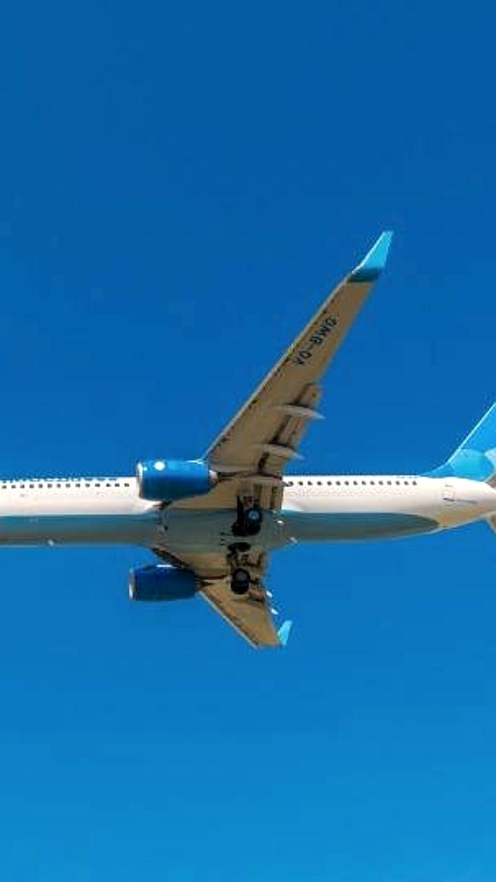 Россияне смогут посещать 120 стран без визы к 2025 году