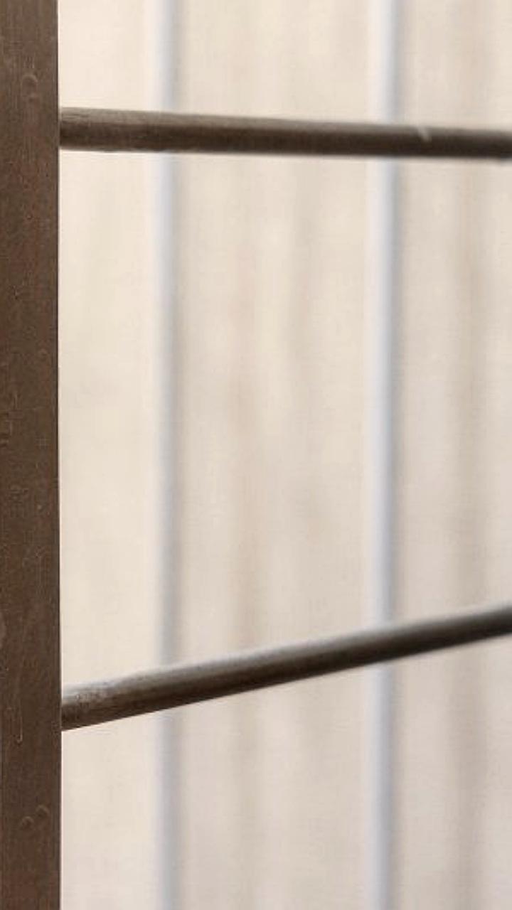 Убийство на новогоднем праздновании в Жодино и задержание подозреваемого в Якутии