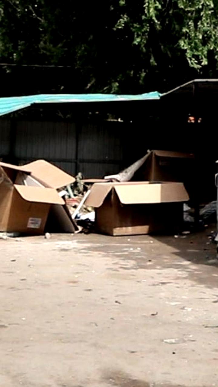 Задолженность граждан Узбекистана за вывоз мусора достигла 600 миллиардов сумов