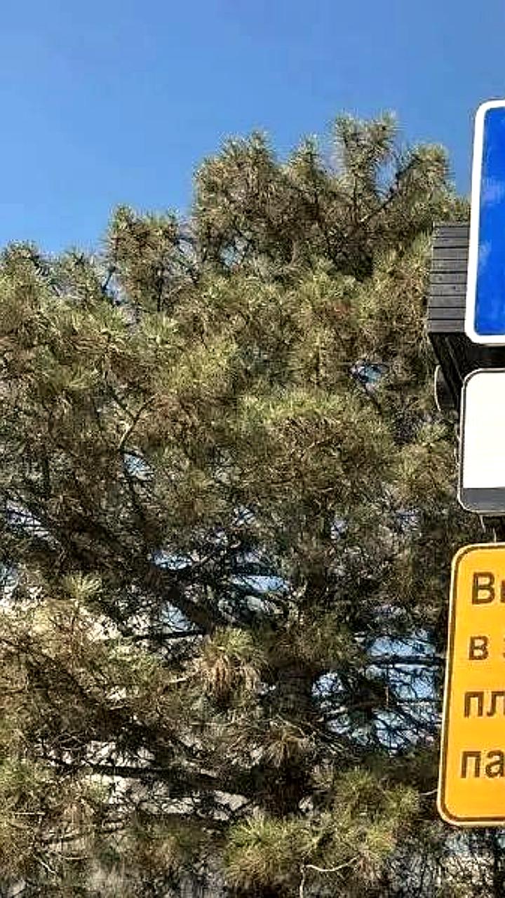 В Новороссийске откроются семь новых платных парковок до 1 апреля