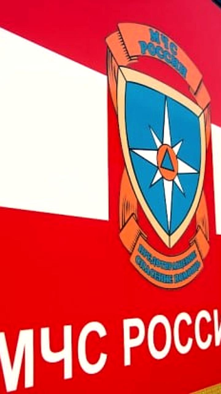 Семь человек погибли в ДТП на трассе Р 22 в Волгоградской области