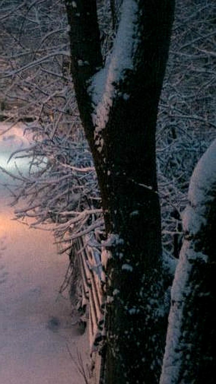 Зимние прогулки снижают риск ОРВИ на 30-50% по данным врача