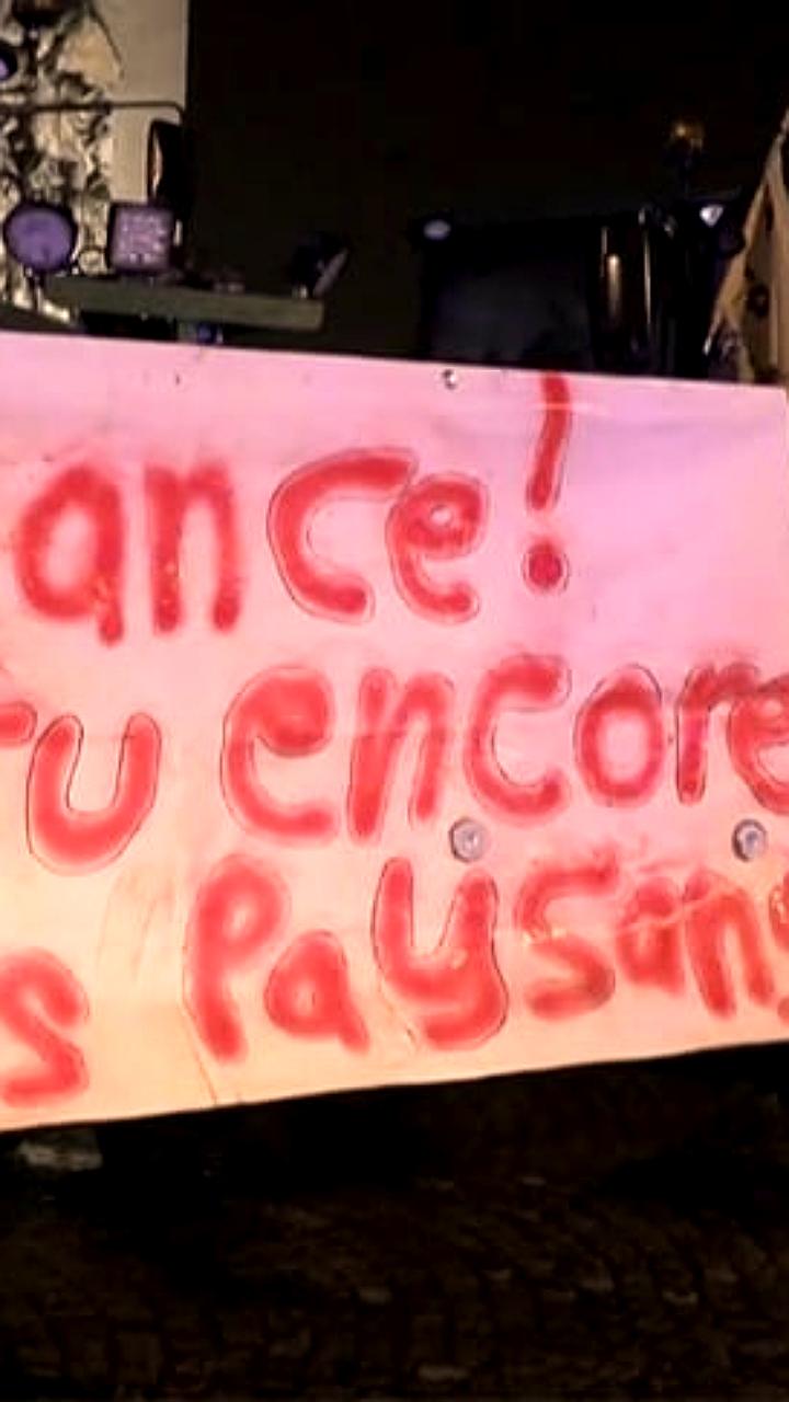 Фермеры Франции протестуют против соглашения ЕС с Меркосур и принудительного забоя скота