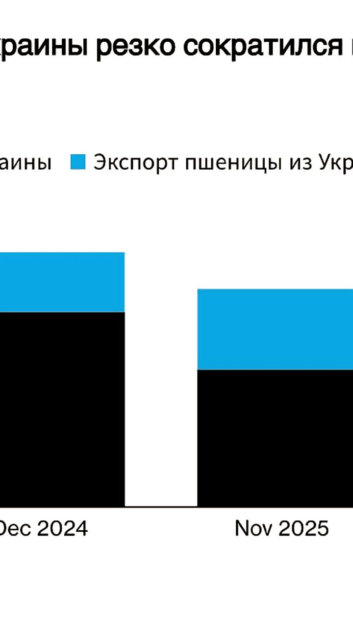 Экспорт украинского зерна в декабре 2025 года снизился на 16% из-за атак на порты