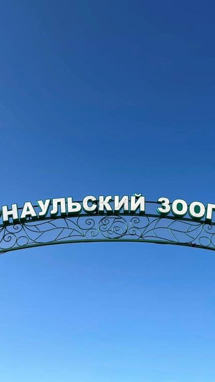 Барнаульский зоопарк предлагает бесплатный вход для обладателей звериных фамилий 11 января