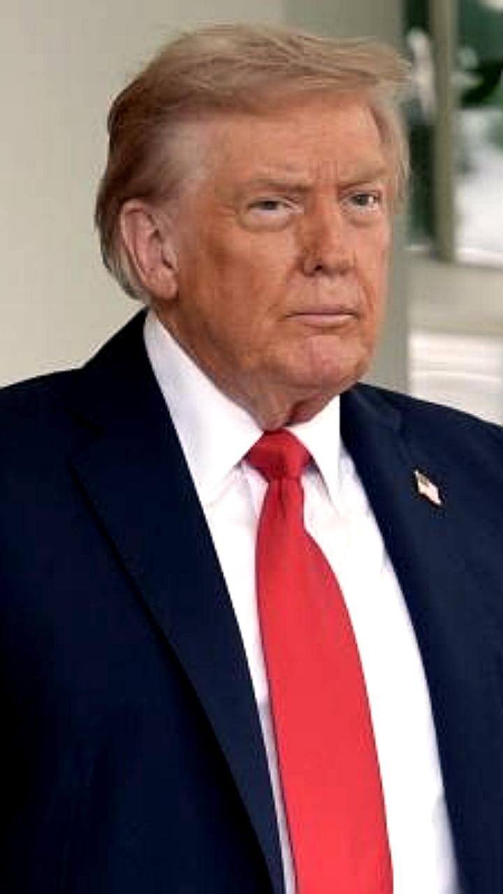 Украина передает права на литиевое месторождение группе инвесторов, включая друга Трампа