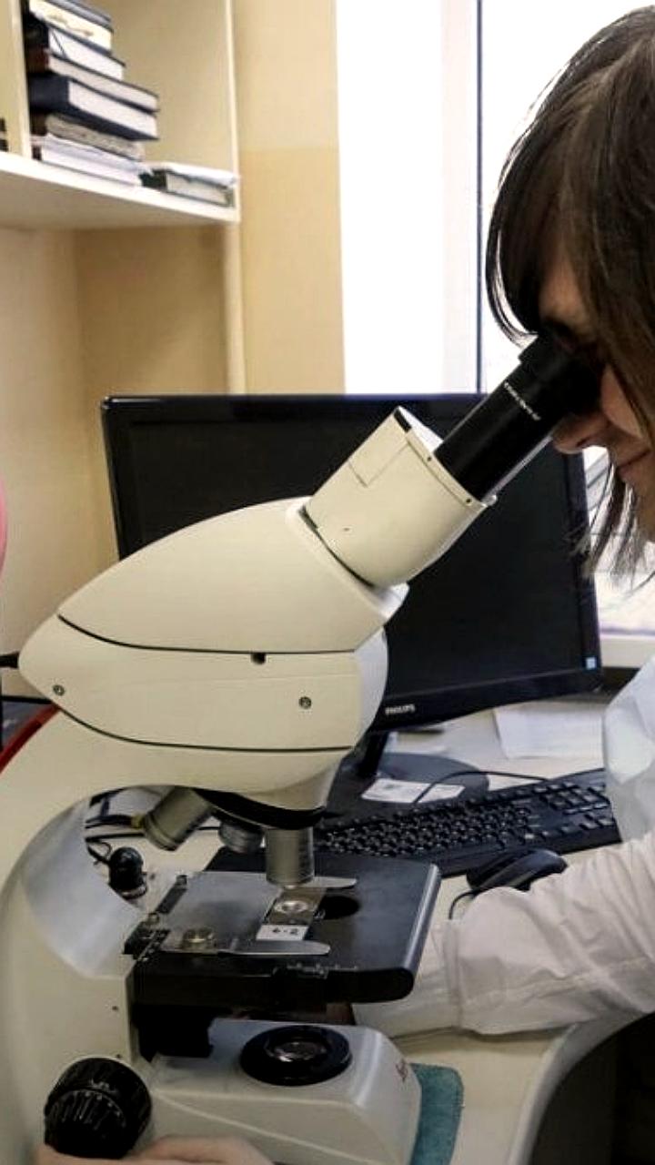 В России запланировано введение генетического тестирования для будущих родителей