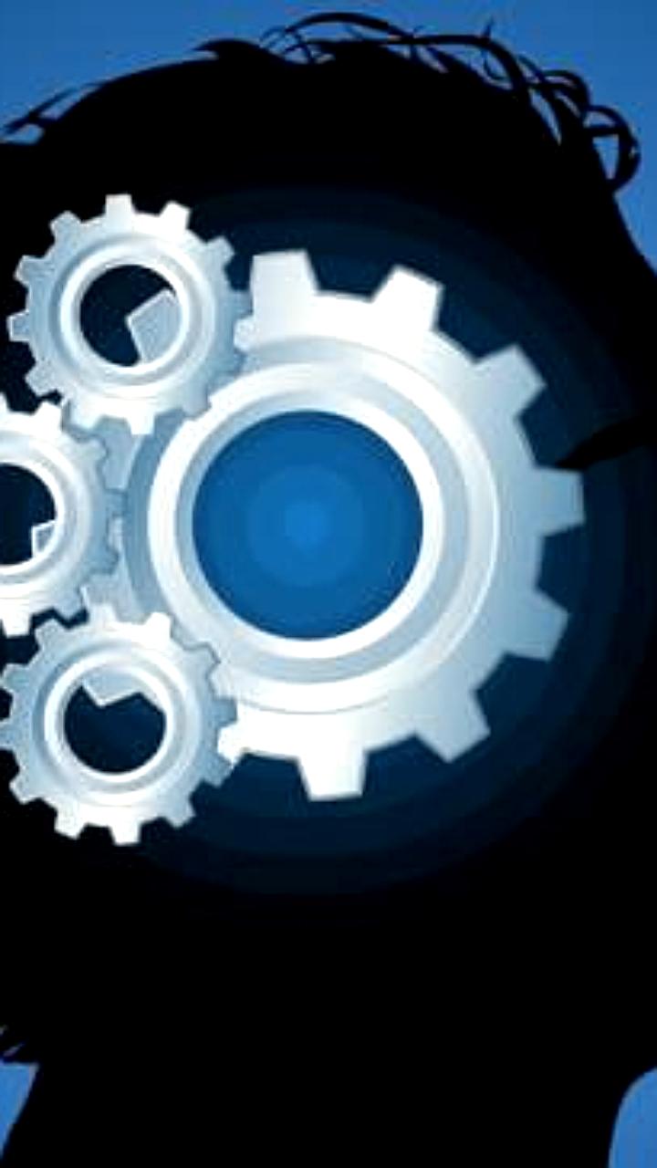 Майкл Блумберг и Уоррен Баффетт рекомендуют молодежи выбирать опыт и связи при поиске работы