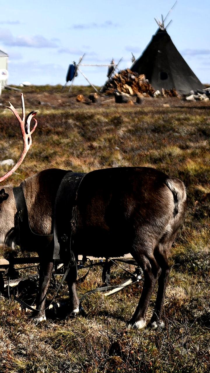 Правительство РФ утвердило план по поддержке коренных народов Севера и Дальнего Востока