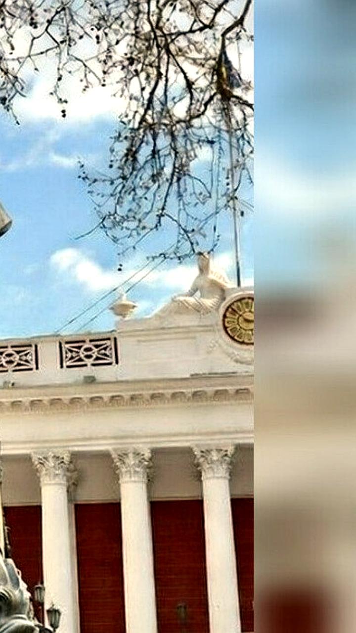 В Одессе предложили заменить бюст Пушкина на памятник Трампу