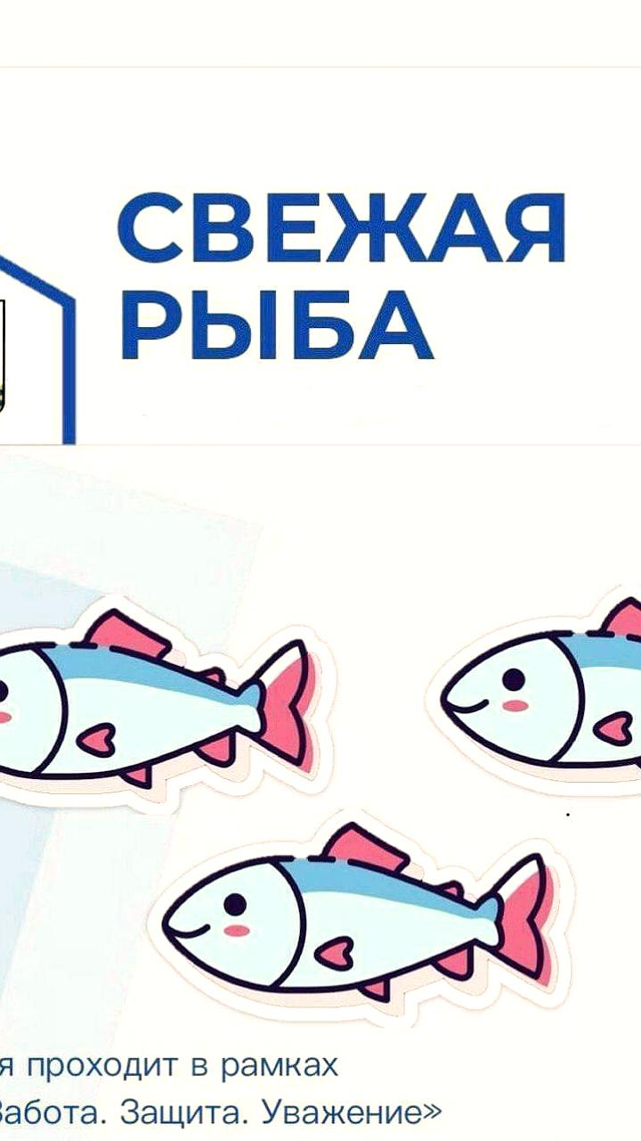 В Поронайском районе стартовал промысел наваги с первым уловом в 20 тонн