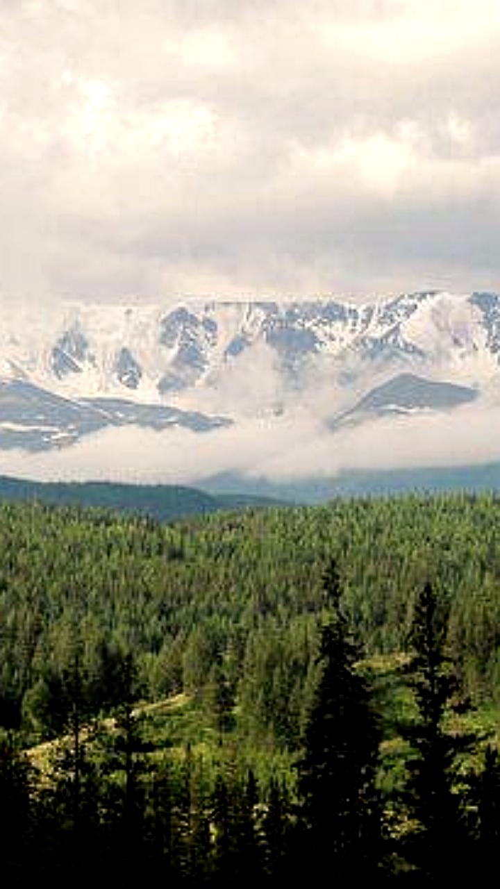 Алтайский край запускает новые туристические маршруты для китайских гостей