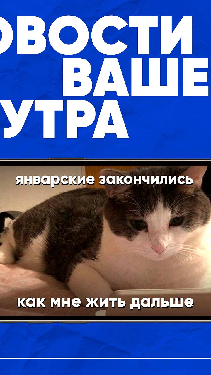 Прогнозы роста торговой недвижимости в России на 2026 год