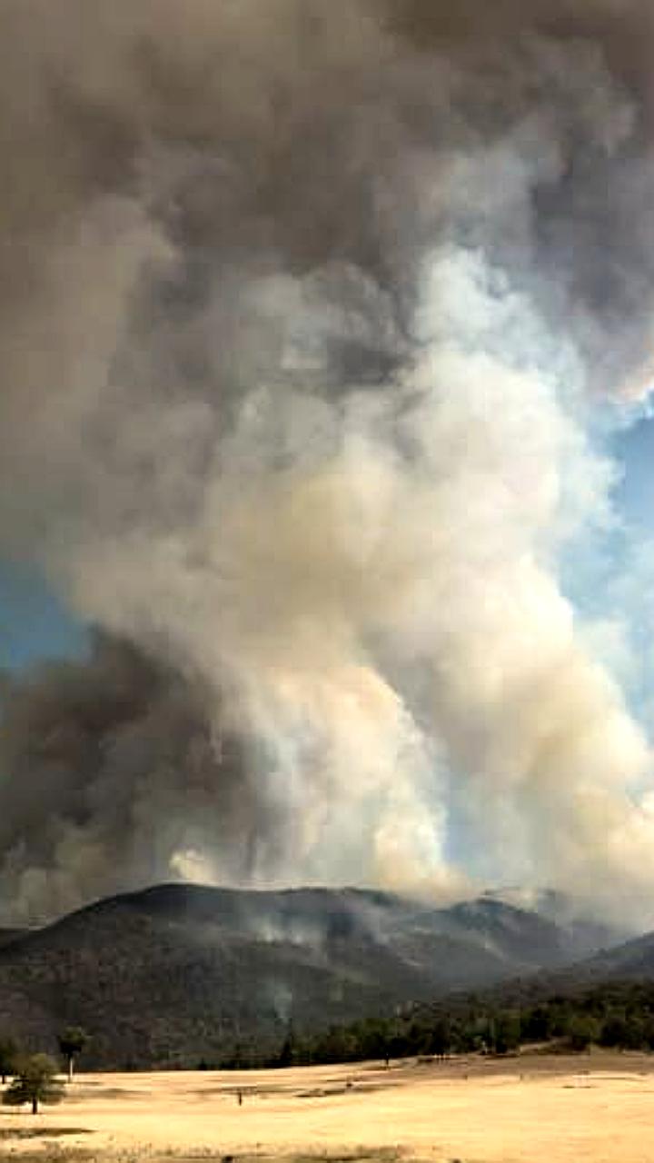 Лесные пожары в Австралии: Виктория и Новый Южный Уэльс сталкиваются с крупнейшими за шесть лет разрушениями