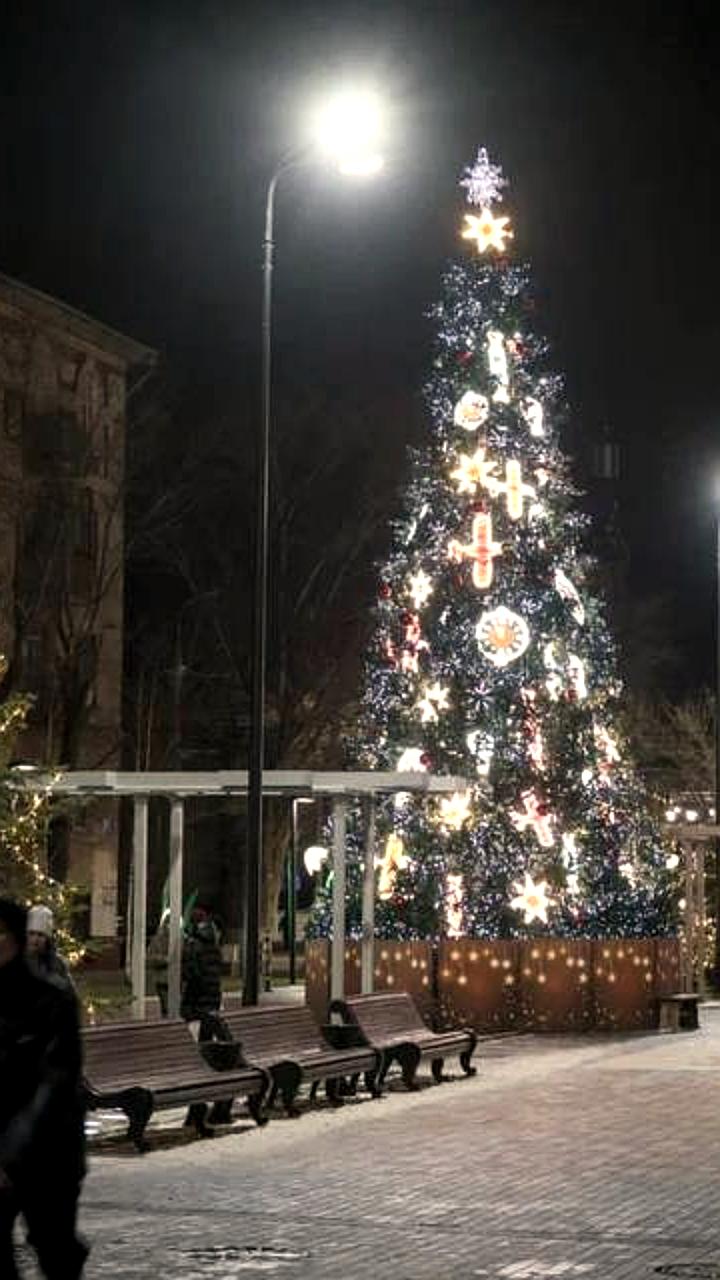 Ель на Якорной площади Кронштадта участвует в конкурсе Ёлки России