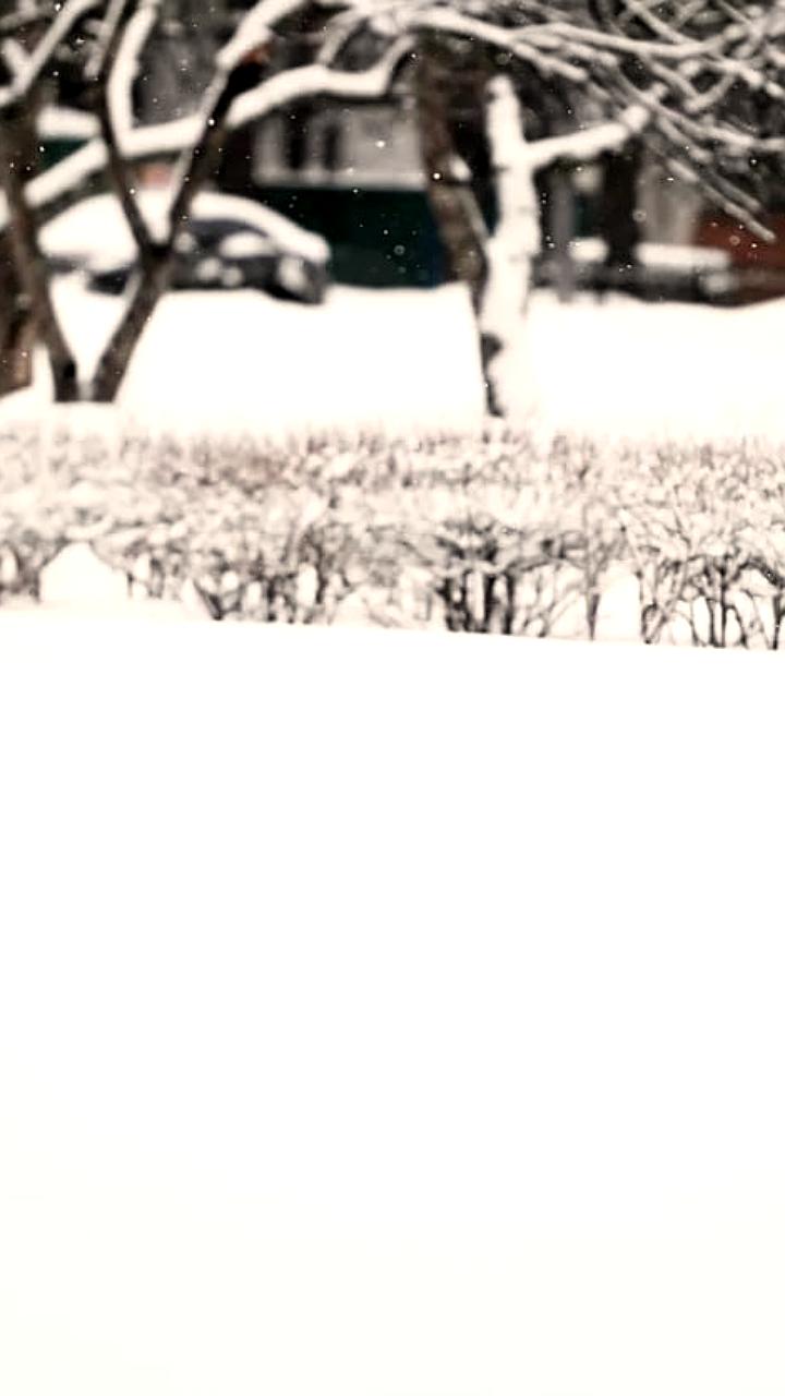 Снежная зима в России вызывает резкий рост продаж инвентаря для уборки снега