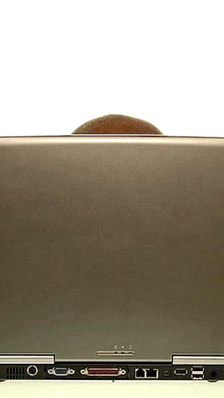 С 1 марта 2026 года онлайн сервисам запретят автоматическое списание средств за подписки без согласия пользователей