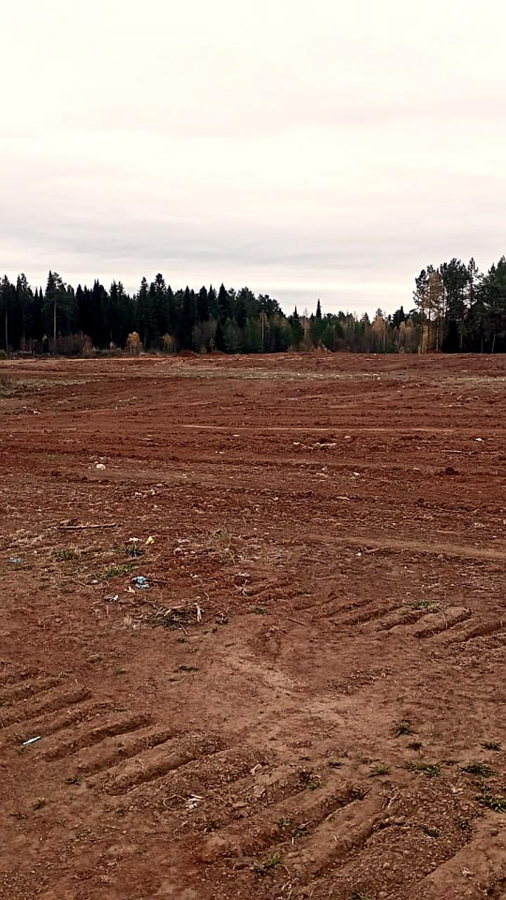 Ликвидация свалок в Кировской и Томской областях: успешные результаты и планы на будущее