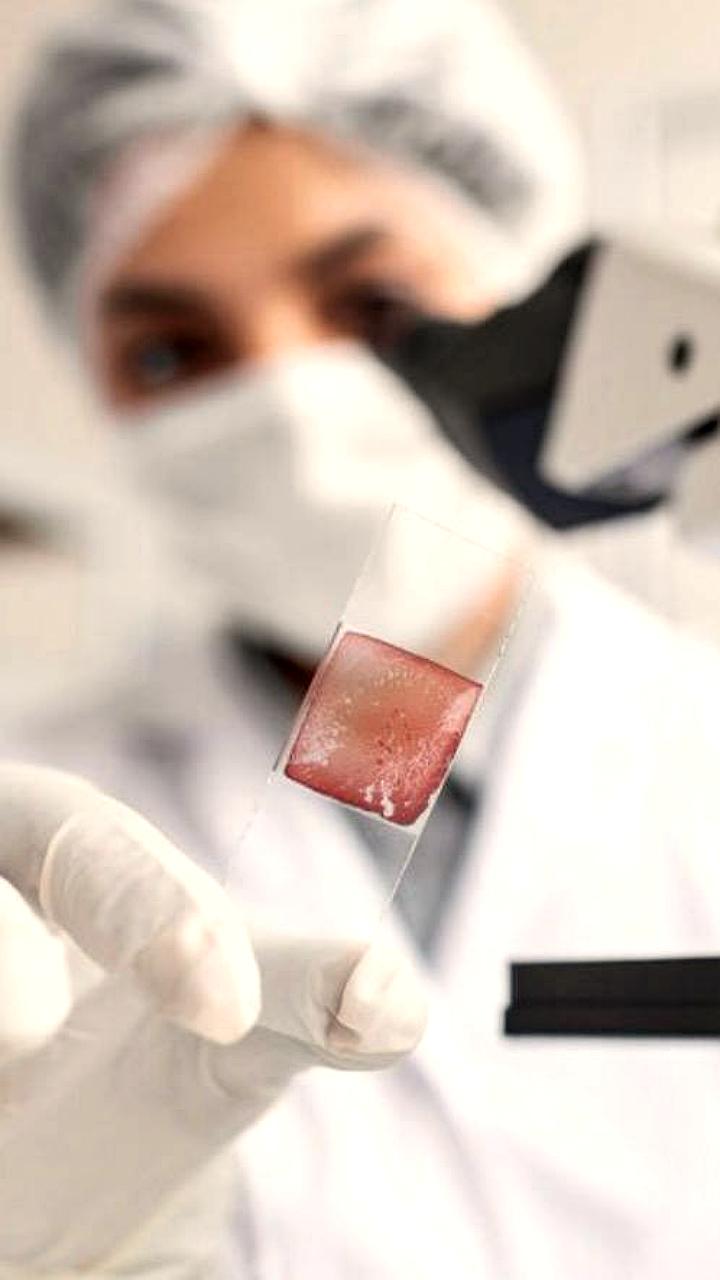 Генетические тесты для будущих родителей станут бесплатными в России с 2026 года