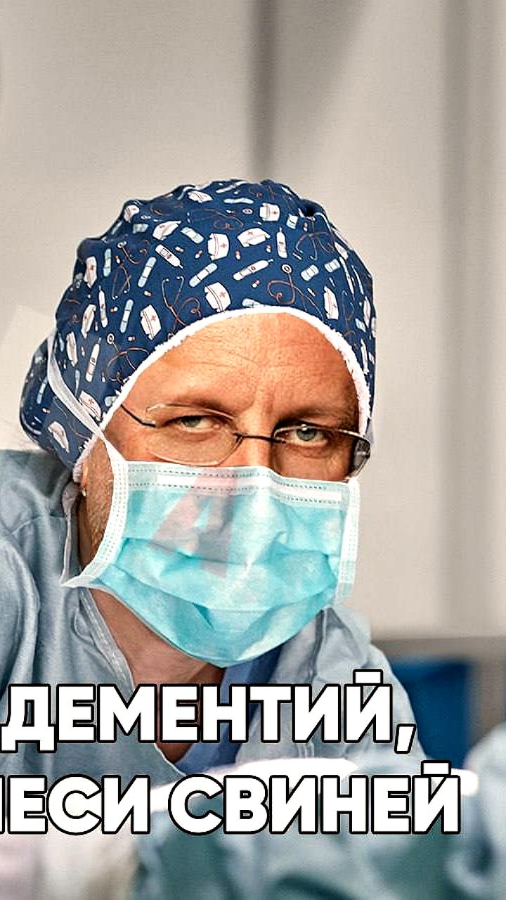 Пересадка органов свиней станет доступной по ОМС в России к 2030 году