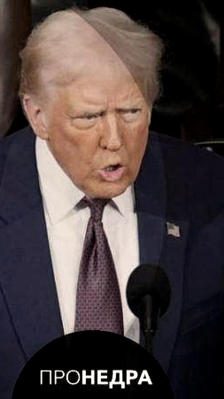 Трамп: Доходы США от украинских минеральных ресурсов могут превысить 350 миллиардов долларов