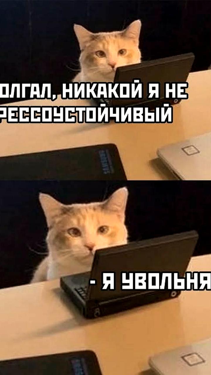 Исследования показывают, что каждый седьмой россиянин планирует уволиться после Нового года