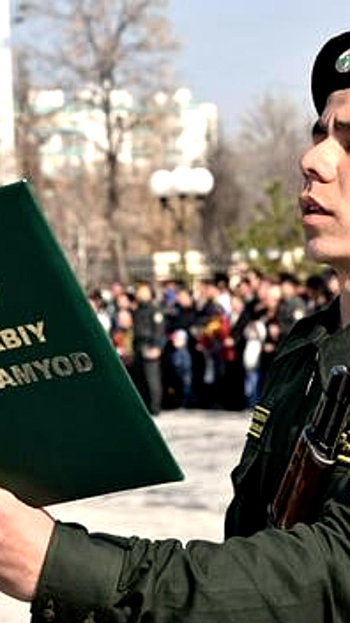 Новые возможности для военнослужащих: экзамены в вузах и поддержка образования