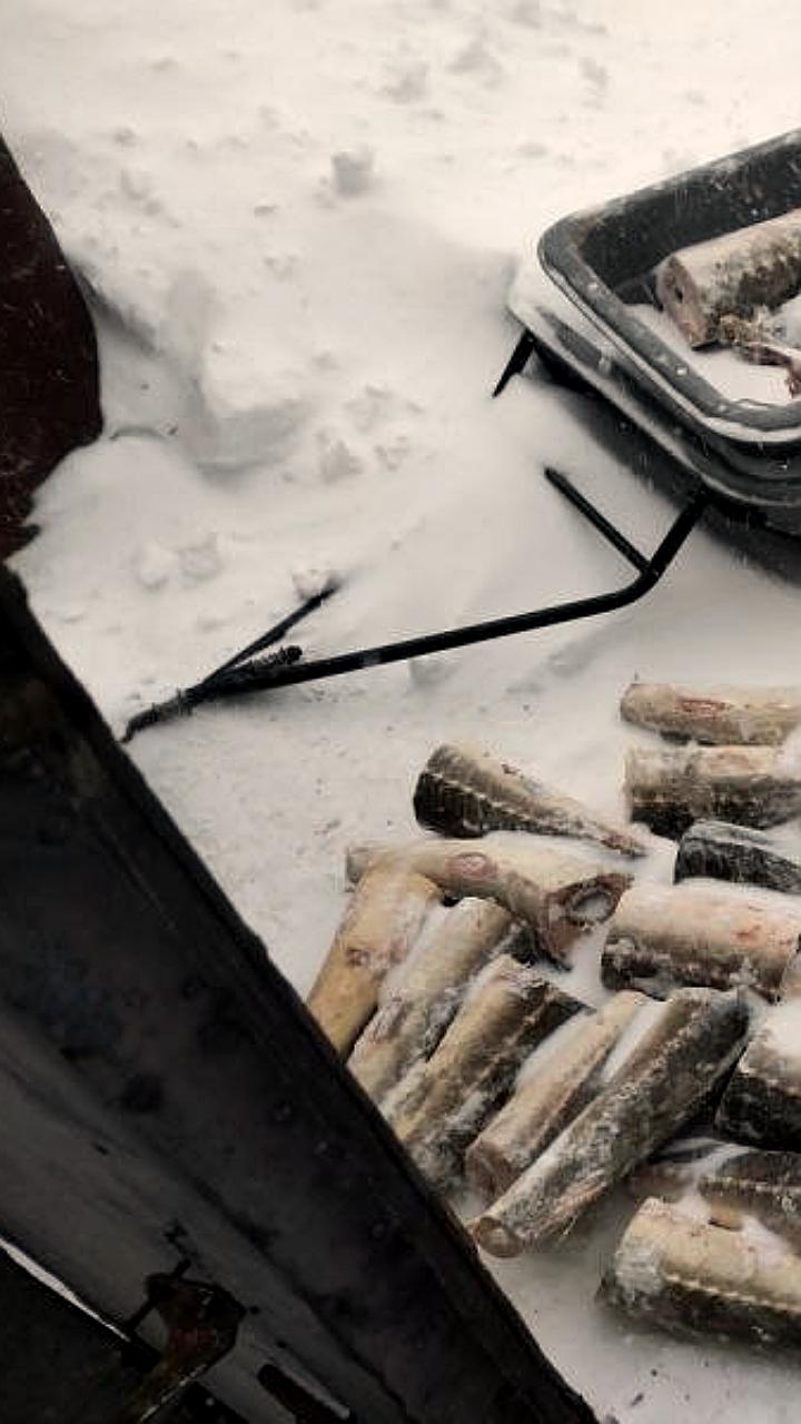 Браконьер из Хабаровского края задержан с 55 фрагментами краснокнижной рыбы и наркотиками