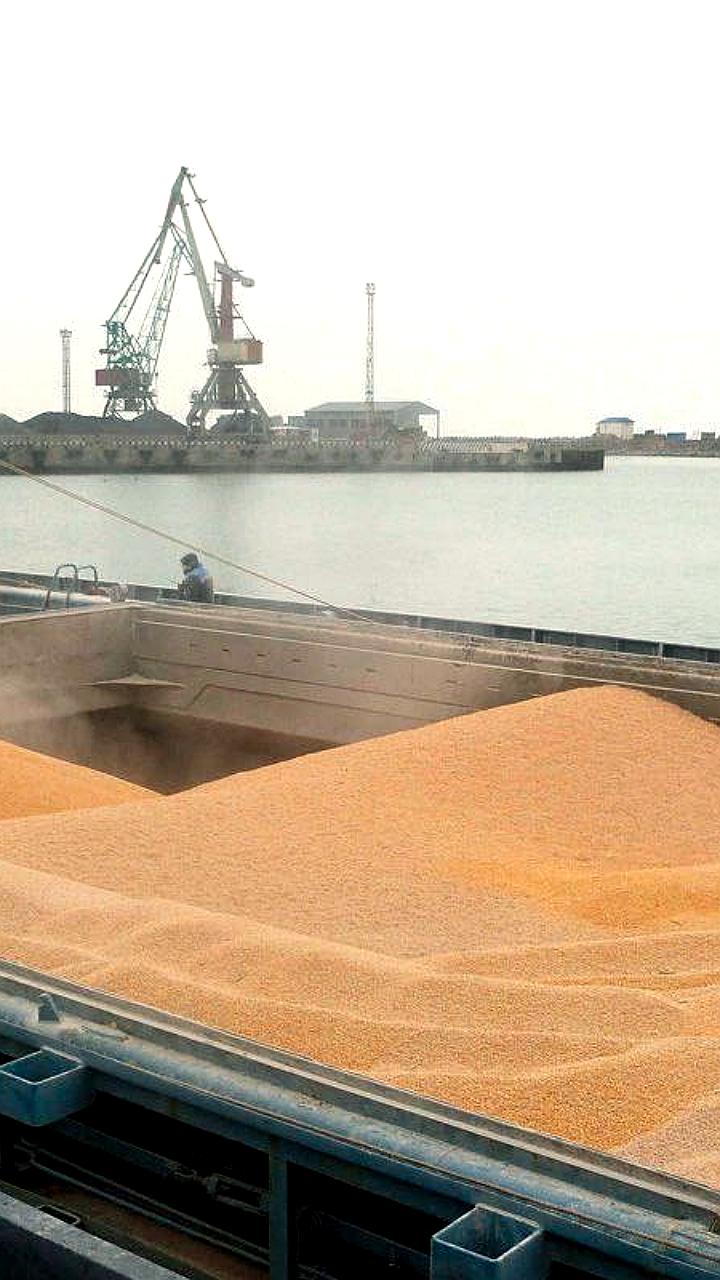 Экспорт более 12 тысяч тонн зерна из порта Махачкалы в Иран