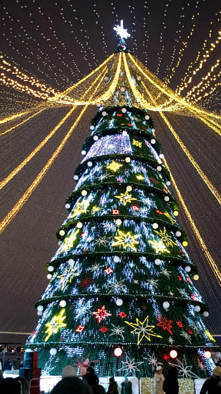 Разбор ёлки у Чаши в Казани начнется 15 января