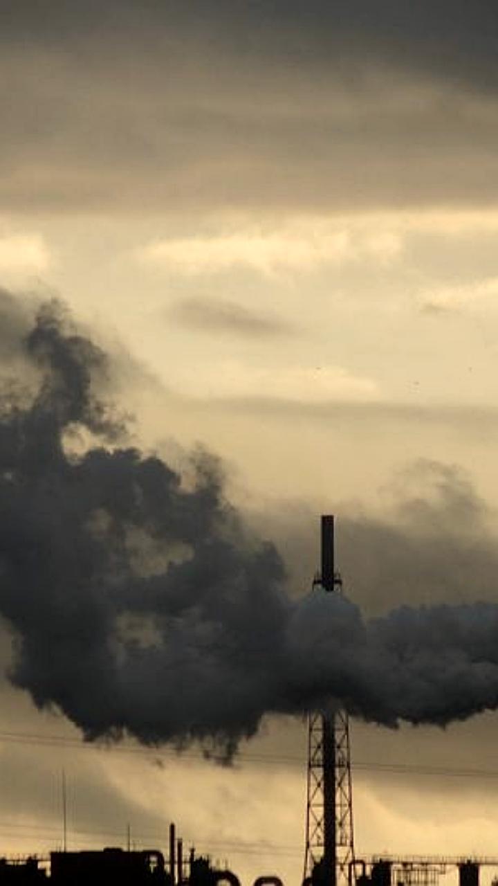 Жители Рыбинска и Керчи требуют проверки экологических нарушений