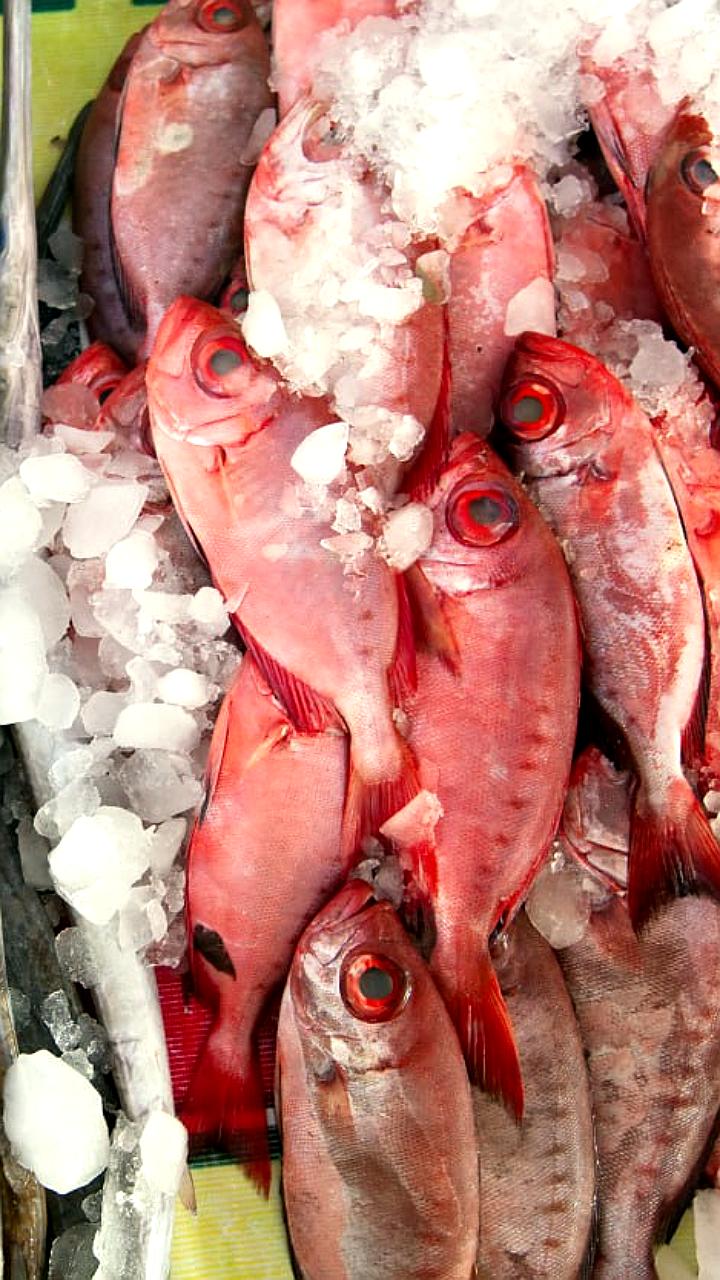 Экспорт рыбы и морепродукции из Мурманской области в 2025 году достиг 115 тысяч тонн