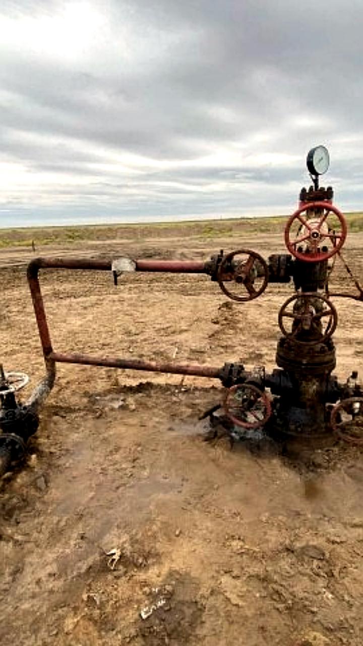 Росприроднадзор выявил загрязнение почв на месторождениях ЗАО Ильменскнефть в Калмыкии