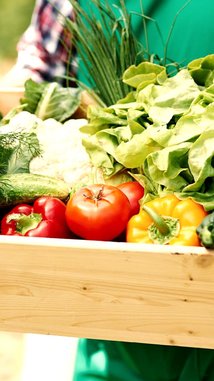 ФАС изучает ценовую ситуацию на рынке тепличных овощей