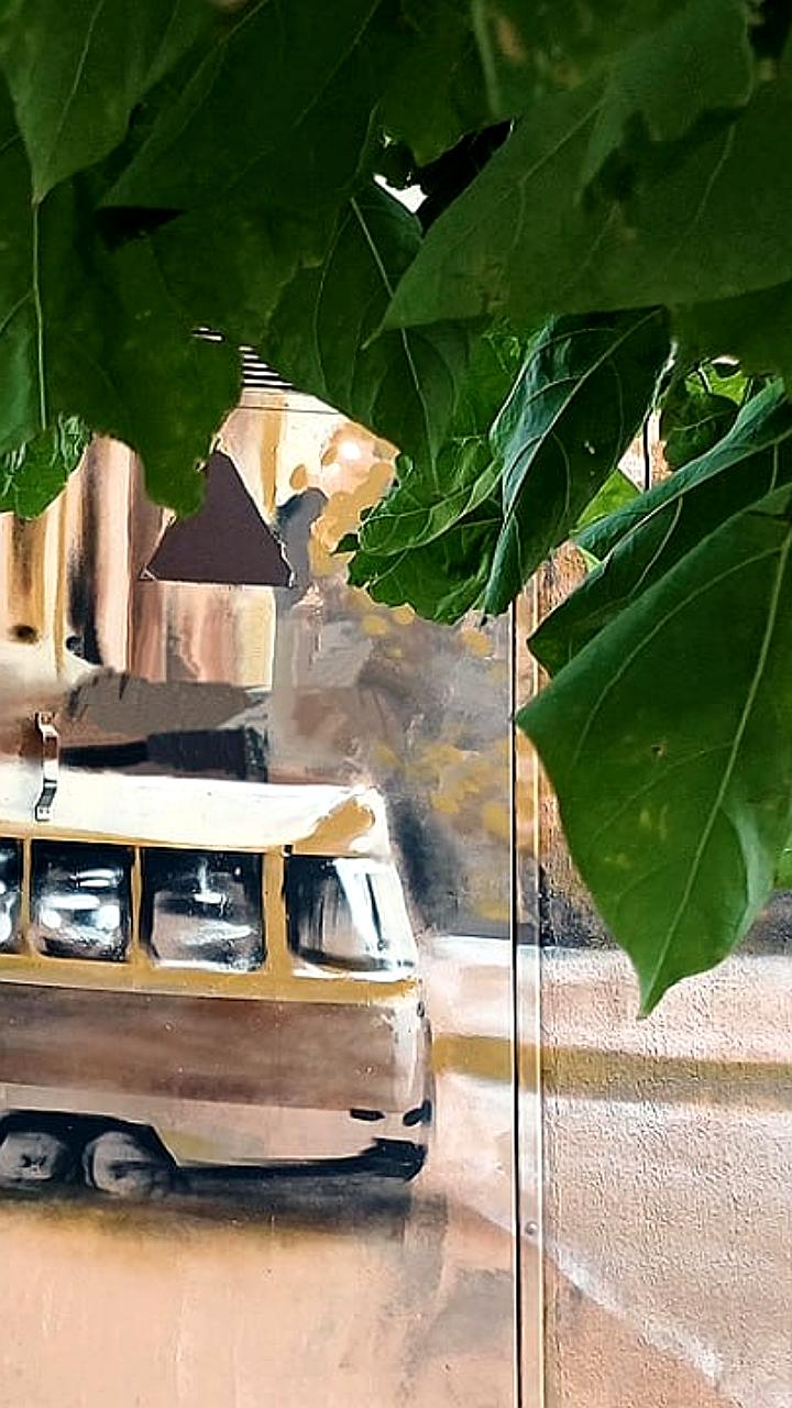 Трамвайное движение приостановлено в Москве и Краснодаре из-за технических неисправностей