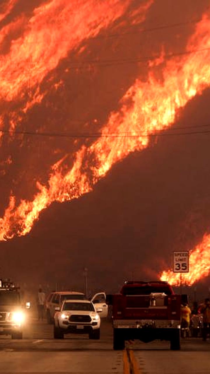 Лесные пожары в Лос-Анджелесе стали самым дорогостоящим стихийным бедствием 2025 года