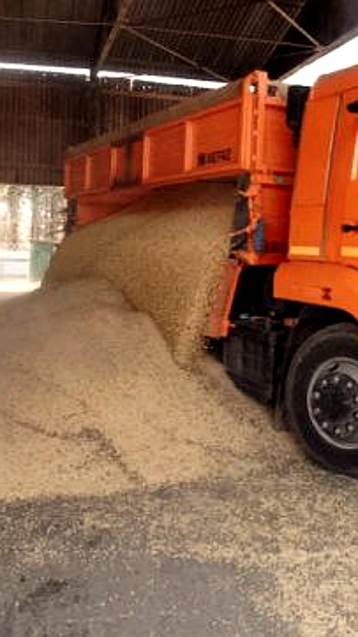 В Амурской области начато строительство агротерминала для переработки сои и рапса