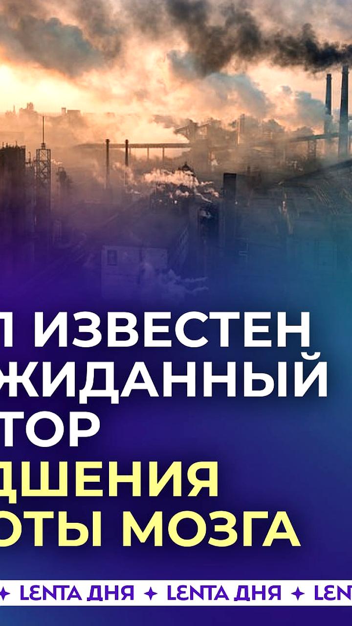 Загрязнённый воздух в детстве негативно влияет на память взрослых