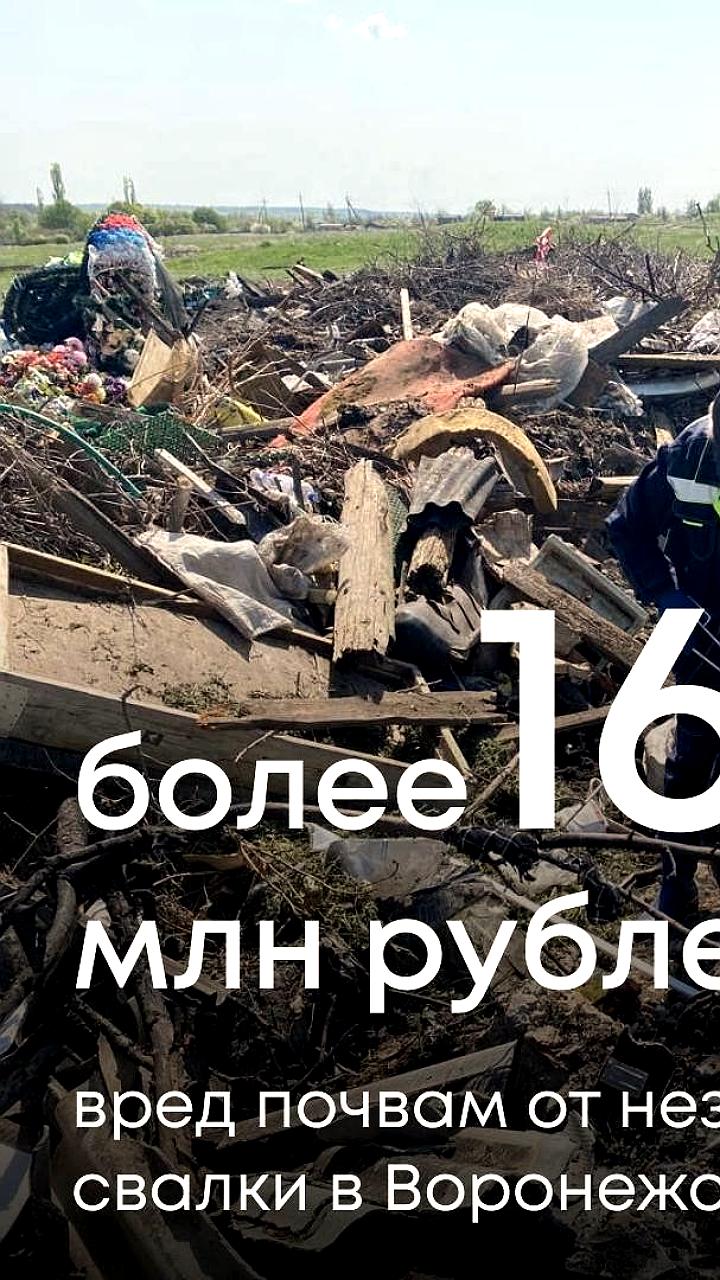 Росприроднадзор требует компенсацию за экологический ущерб в Богучарском районе