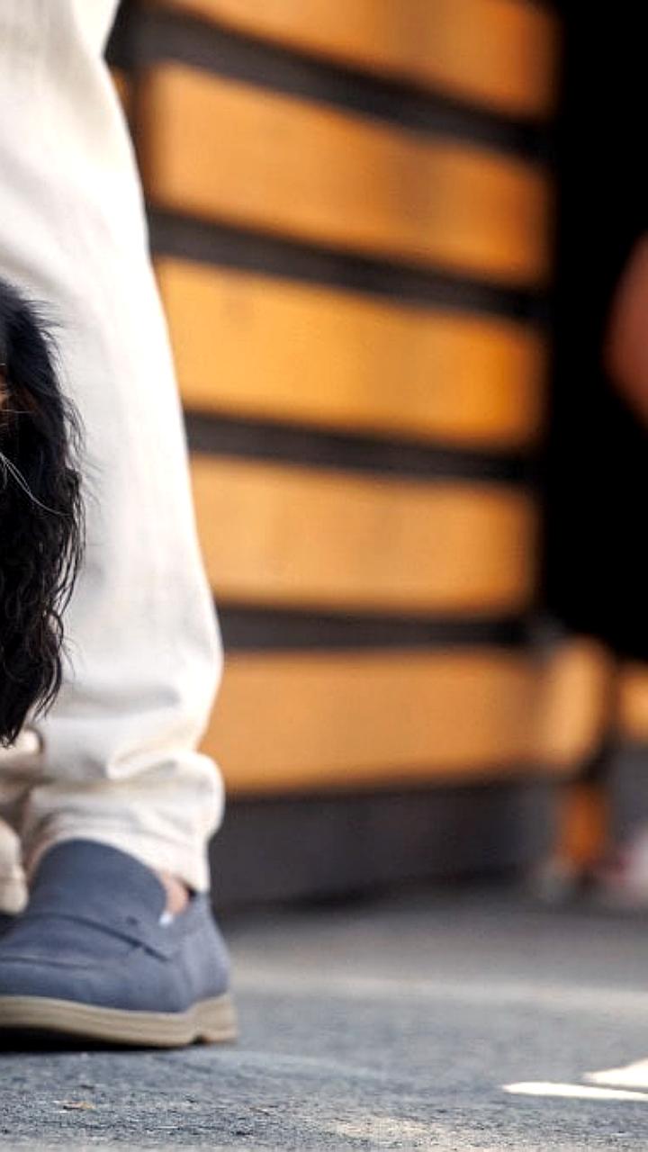 Госдума рассматривает законопроект о чипировании домашних животных