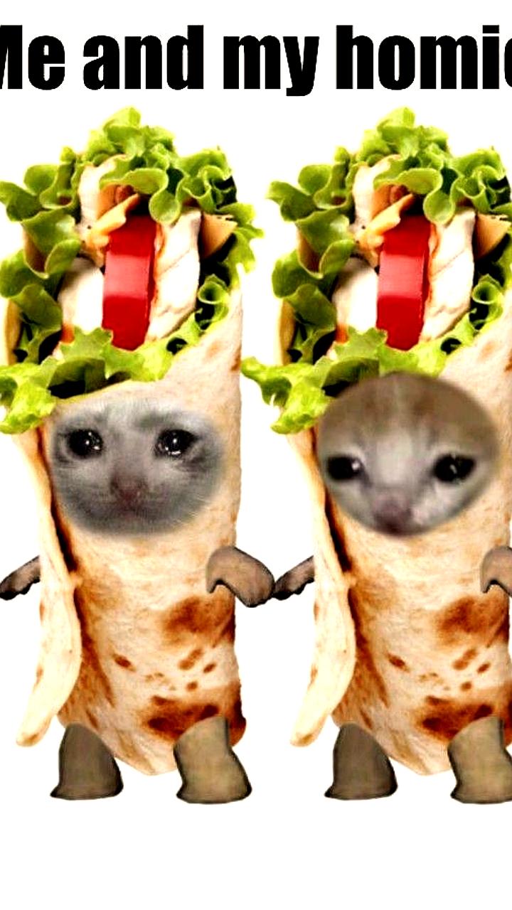 Эксперты подтвердили пользу шаурмы для здоровья