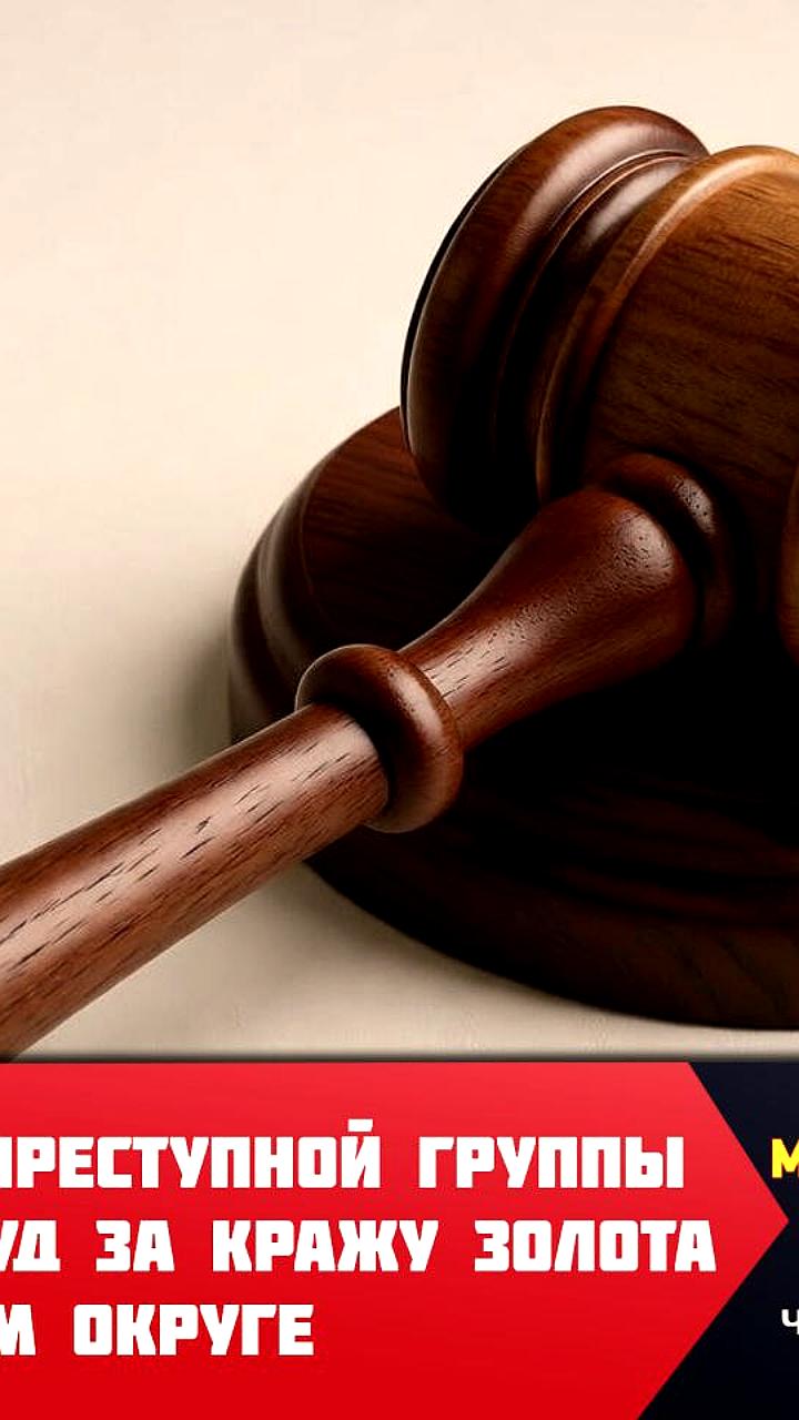 Кража игрушек и золота: преступная группа задержана в Орле и Магадане