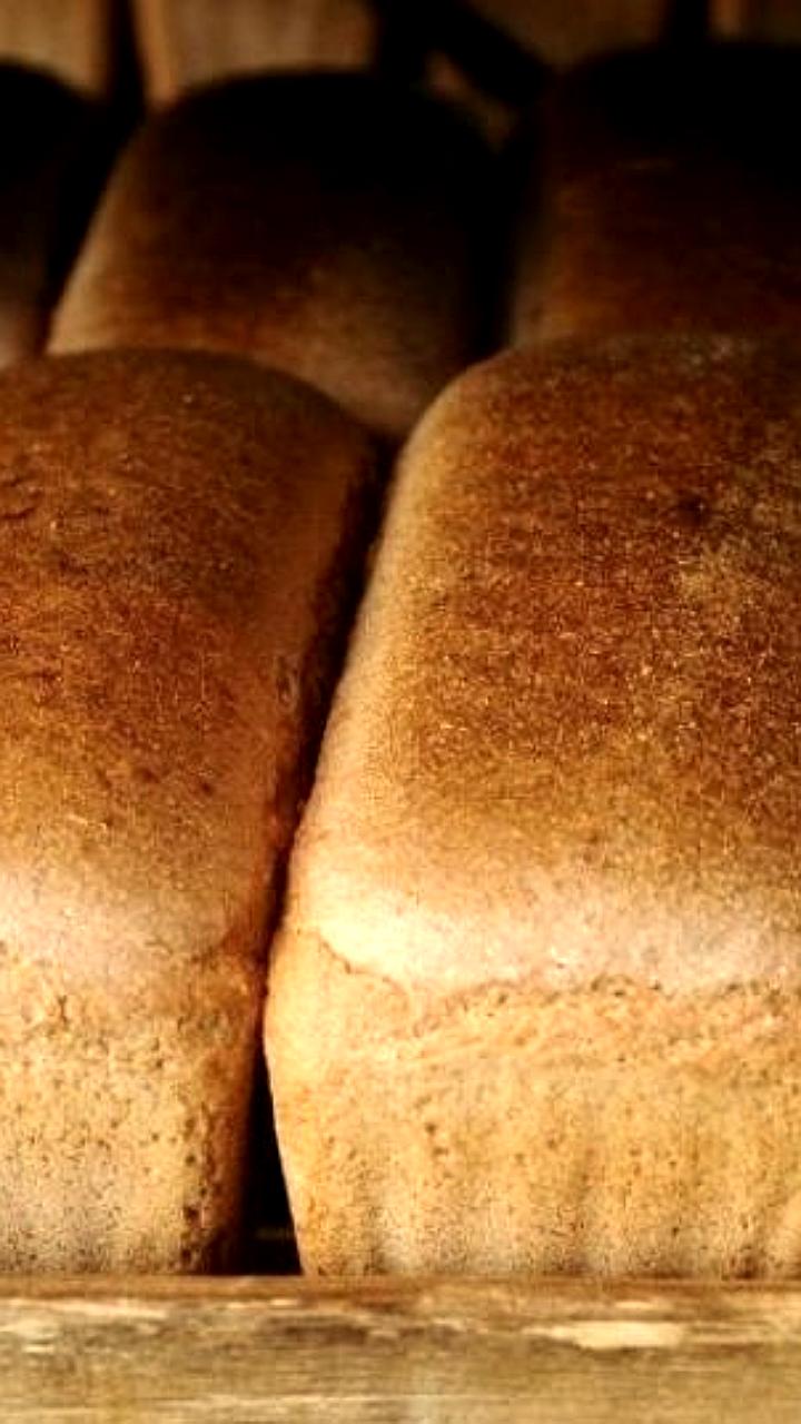 В Ташкенте ежедневно утилизируют до 3,5 тонн продуктов питания