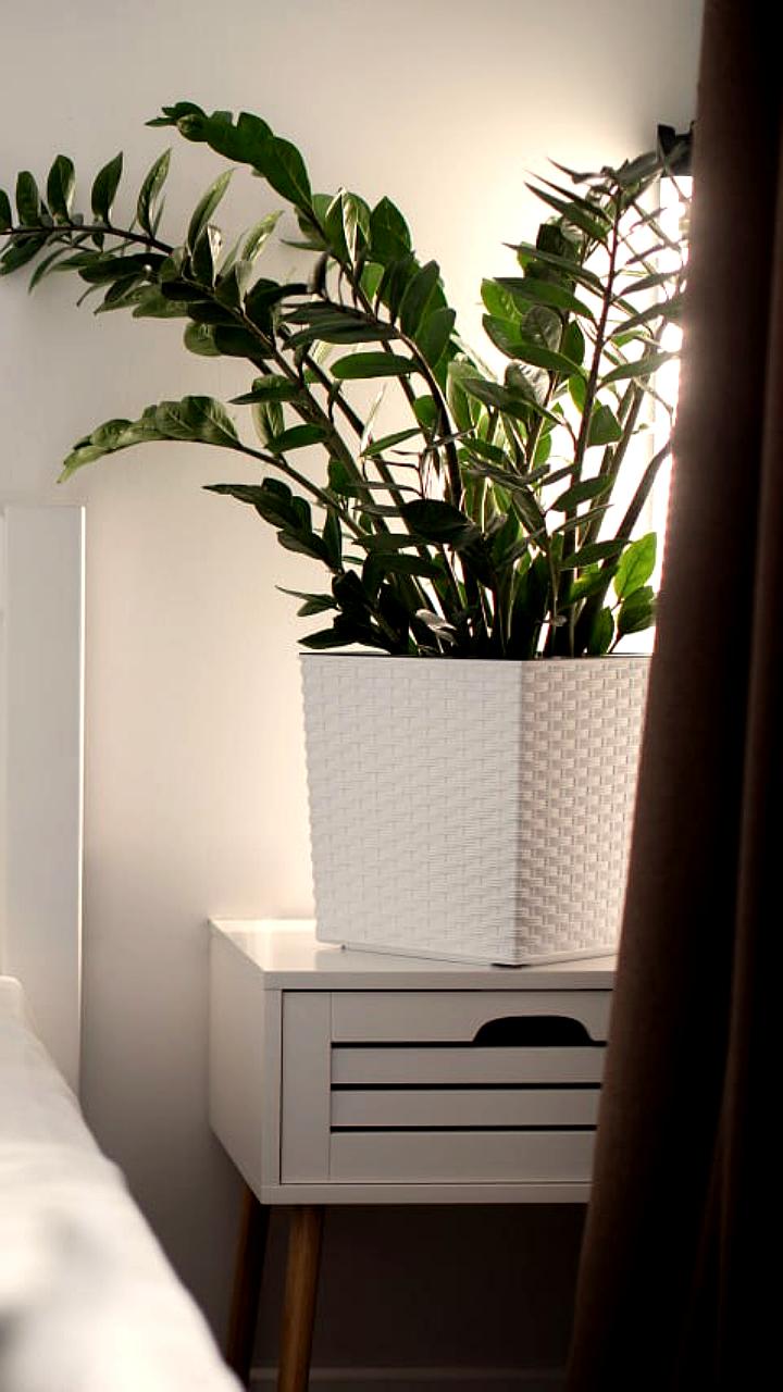 Сочи: создание 27 тысяч гостиничных номеров и 25 тысяч рабочих мест до 2033 года