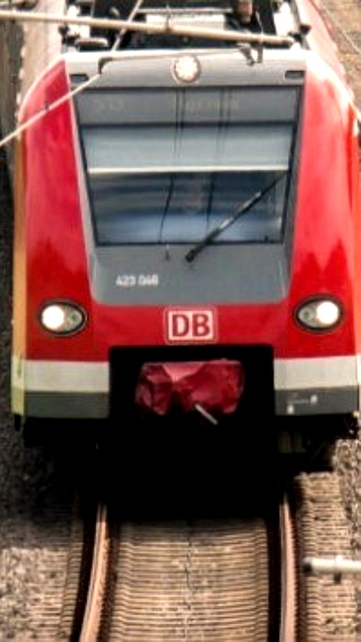 Белорусская железная дорога подводит итоги 2025 года: рост перевозок и новые кадры