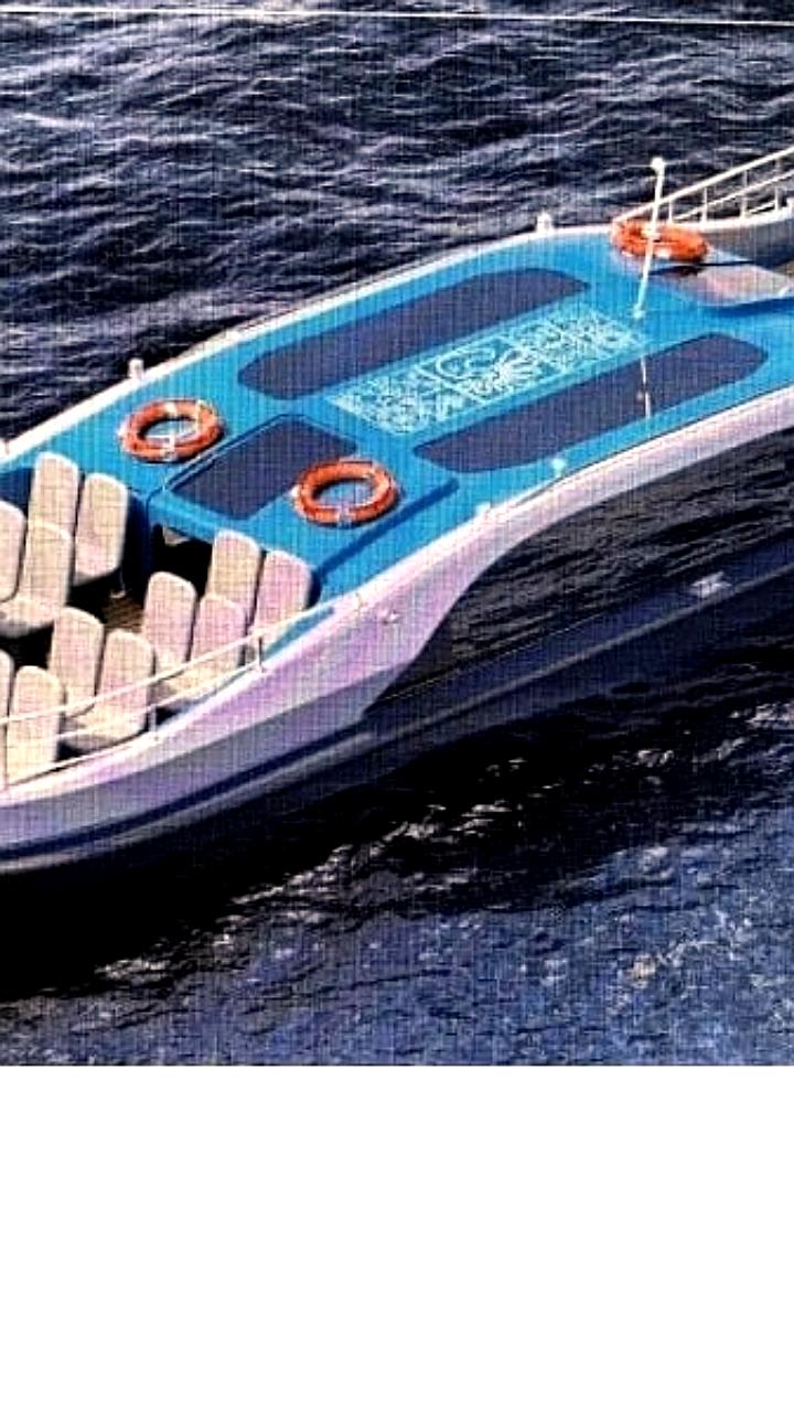 В Вологде стартовало голосование за имена новых речных трамвайчиков