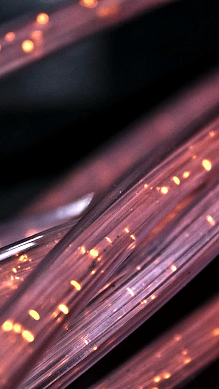 Узбекистан демонстрирует рост объемов страховых и торговых услуг в 2025 году