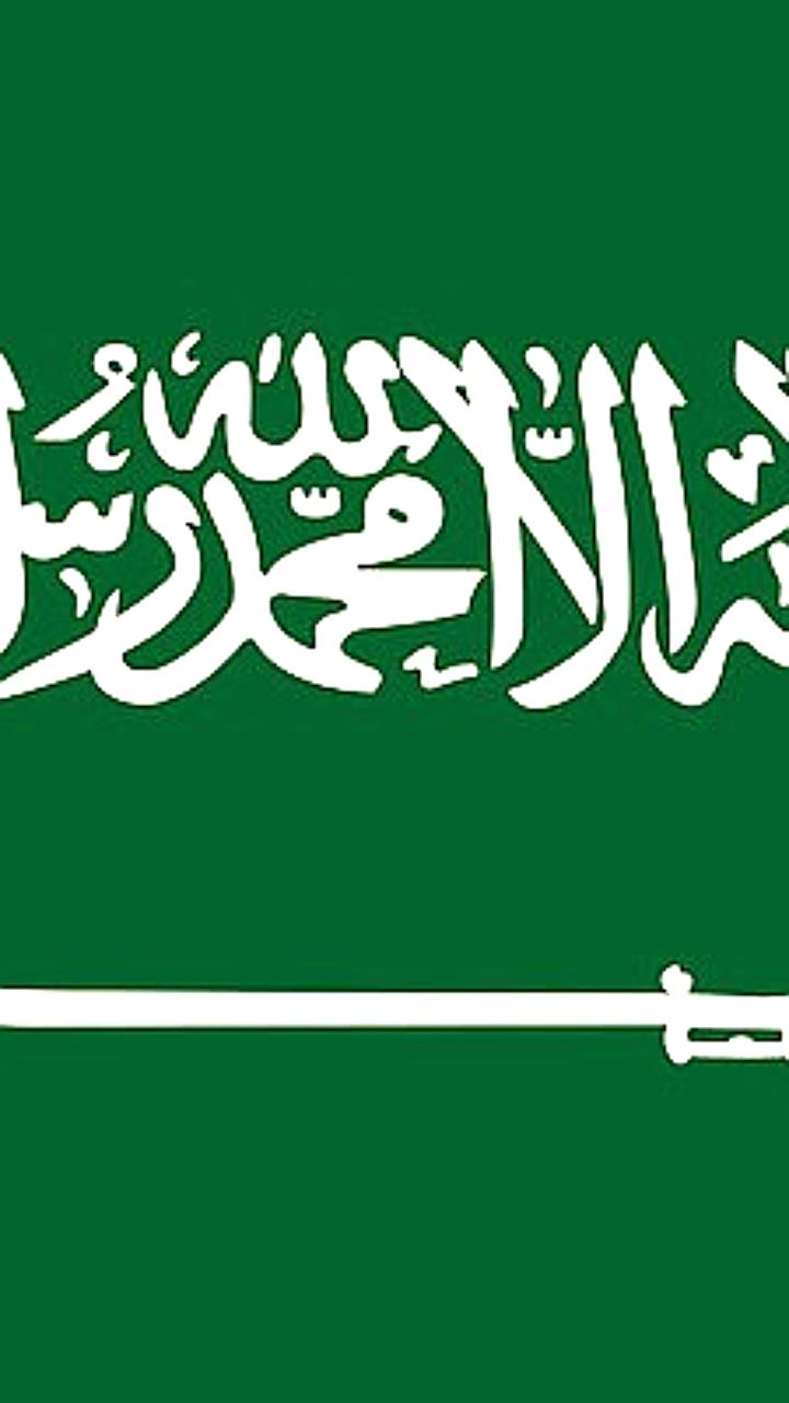 Безвизовый режим между Россией и Саудовской Аравией вступит в силу весной 2026 года