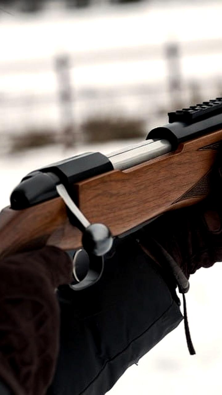 В Калининградской и Удмуртской областях задержаны браконьеры за незаконную охоту на лосей