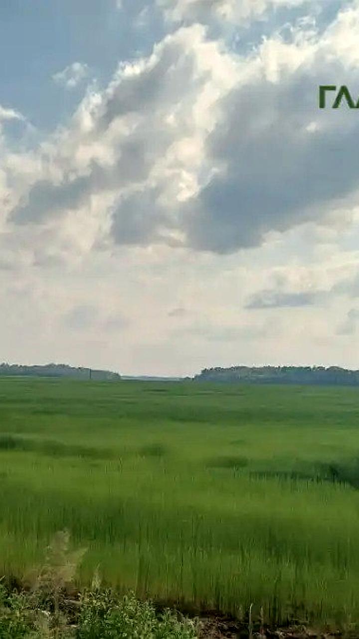 Волгоградская и Омская области демонстрируют рекордные урожаи плодов и зерна в 2025 году